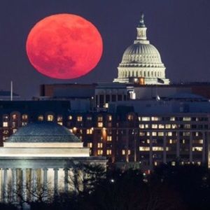 Meet your Posher, Cooper